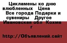 Цикламены ко дню влюбленных › Цена ­ 180 - Все города Подарки и сувениры » Другое   . Ивановская обл.,Кохма г.